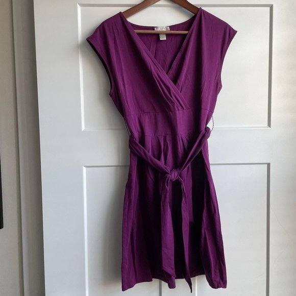 LOFT Dresses & Skirts - Loft - Purple V-Neck Dress - Women's Medium